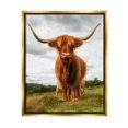 thumbnail image 1 of Stupell Industries Highland Cattle Long Horns Grazing Farm Ranch Photograph Metallic Gold Floating Framed Canvas Print Wall Art, Design by James Dobson, 1 of 5