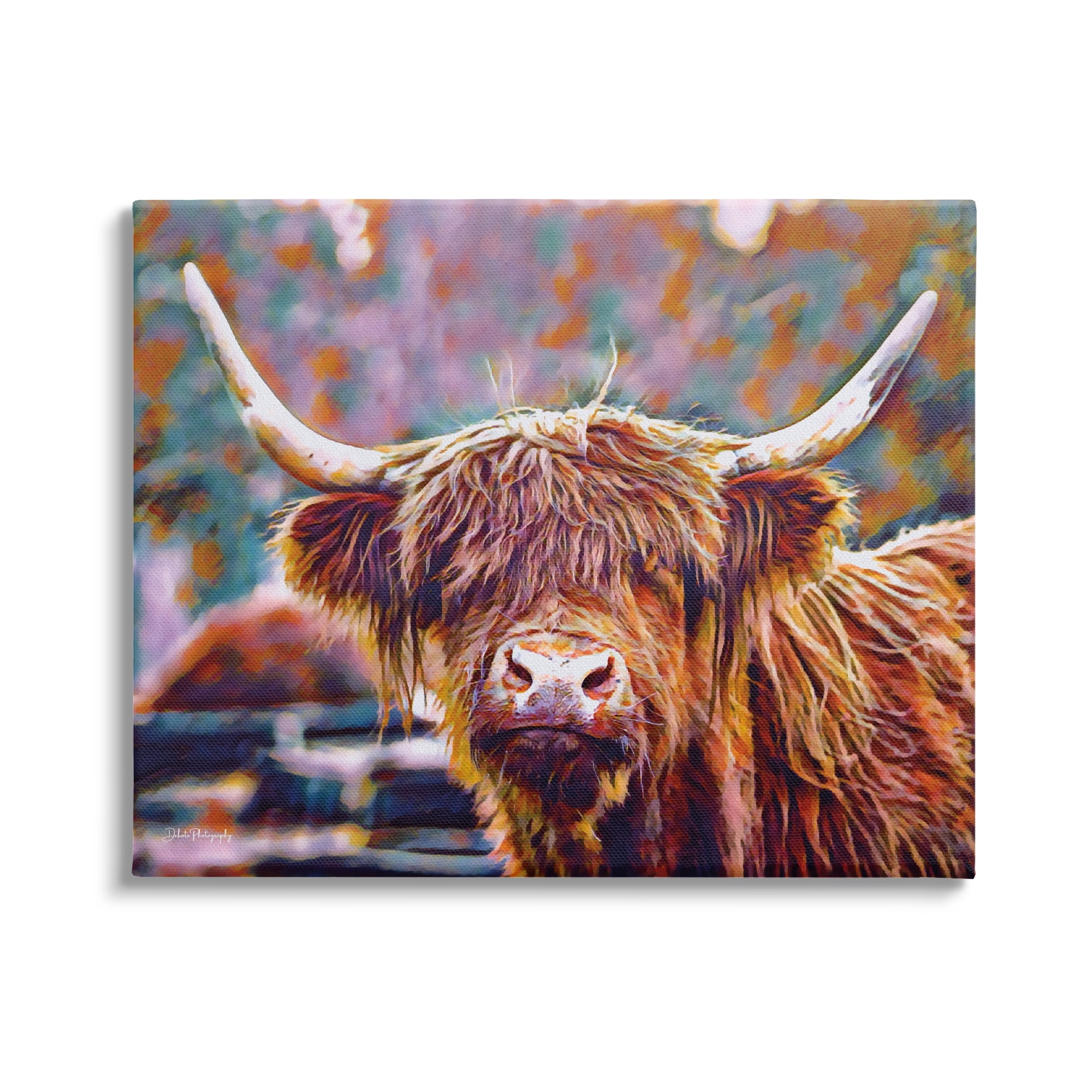 Stupell Industries Highland Cattle Modern Portrait Animals & Insects Photography Gallery Wrapped Canvas Print Wall Art, 30 x 24
