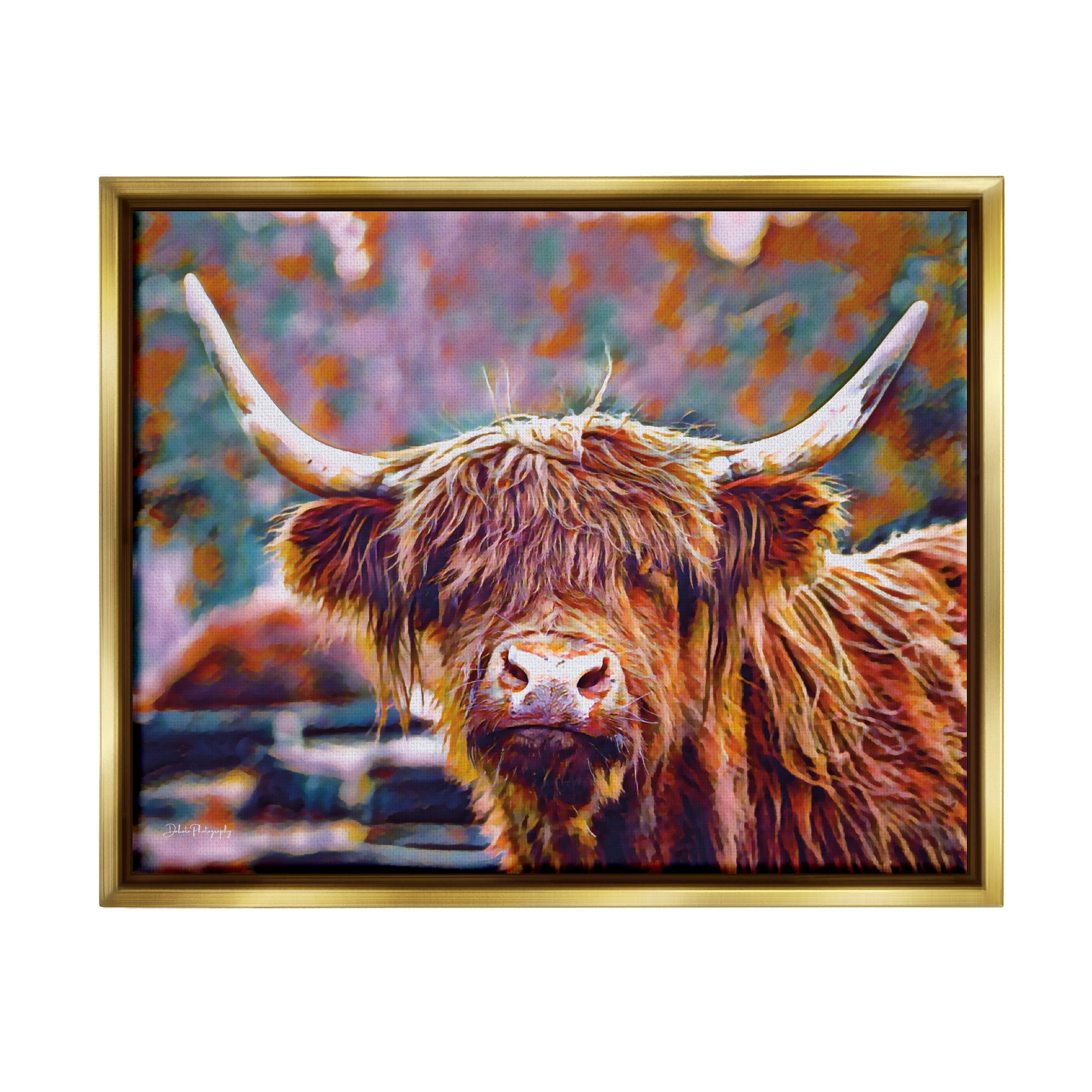 Stupell Industries Highland Cattle Modern Portrait Animals & Insects Photography Gold Floater Framed Art Print Wall Art, 21 x 17