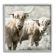 thumbnail image 1 of Stupell Industries Highland Cattle Pair Grazing Photograph Gray Framed Art Print Wall Art, Design by Danita Delimont, 1 of 7