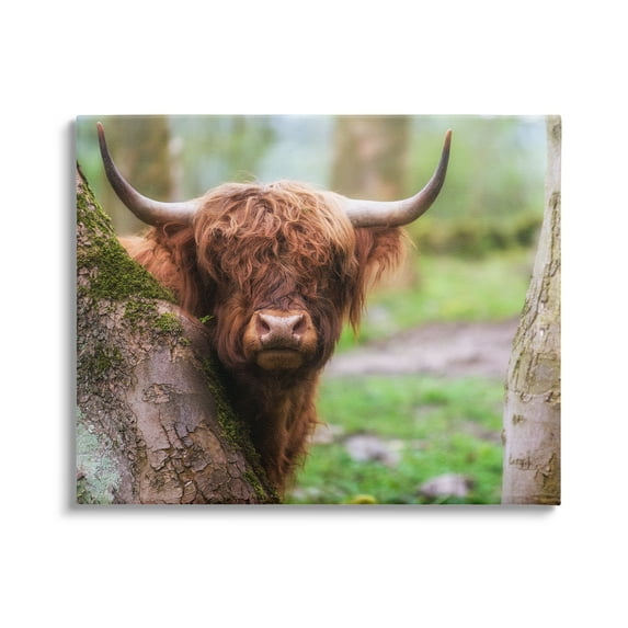 Stupell Industries Highland Cattle Peering Between Trees Lush Nature Scene Photograph Gallery Wrapped Canvas Print Wall Art, Design by James Dobson