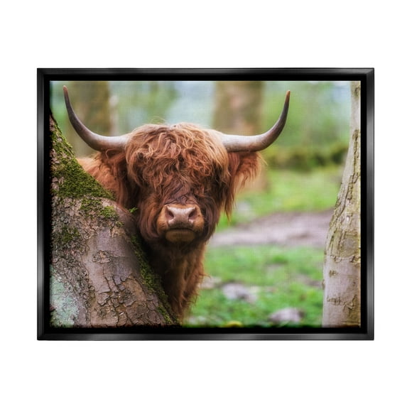 Stupell Industries Highland Cattle Peering Between Trees Lush Nature Scene Photograph Jet Black Floating Framed Canvas Print Wall Art, Design by James Dobson