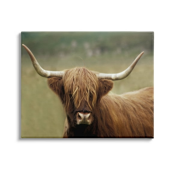 Stupell Industries Highland Cattle Shaggy Hair Country Animal Portrait Photography, 48 x 36, Design by Danita Delimont