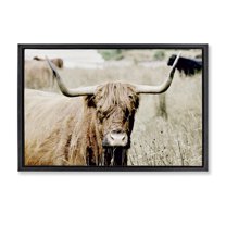 Stupell Industries Highland Cattle in Field Animals & Insects Photography Black Floater Framed Canvas Art Print Wall Art, 25 x 17