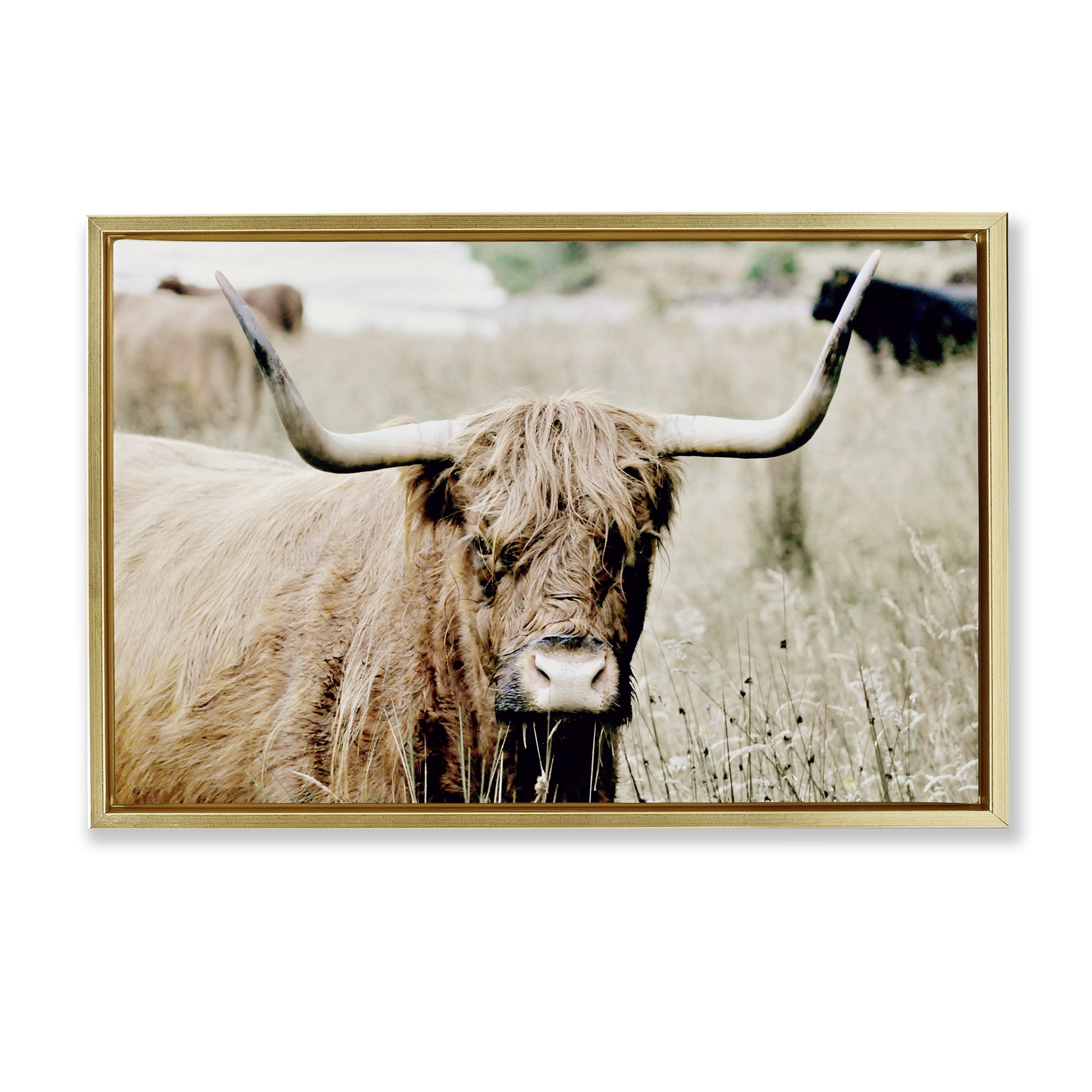 Stupell Industries Highland Cattle in Field Animals & Insects Photography Gold Floater Framed Canvas Art Print Wall Art, 25 x 17