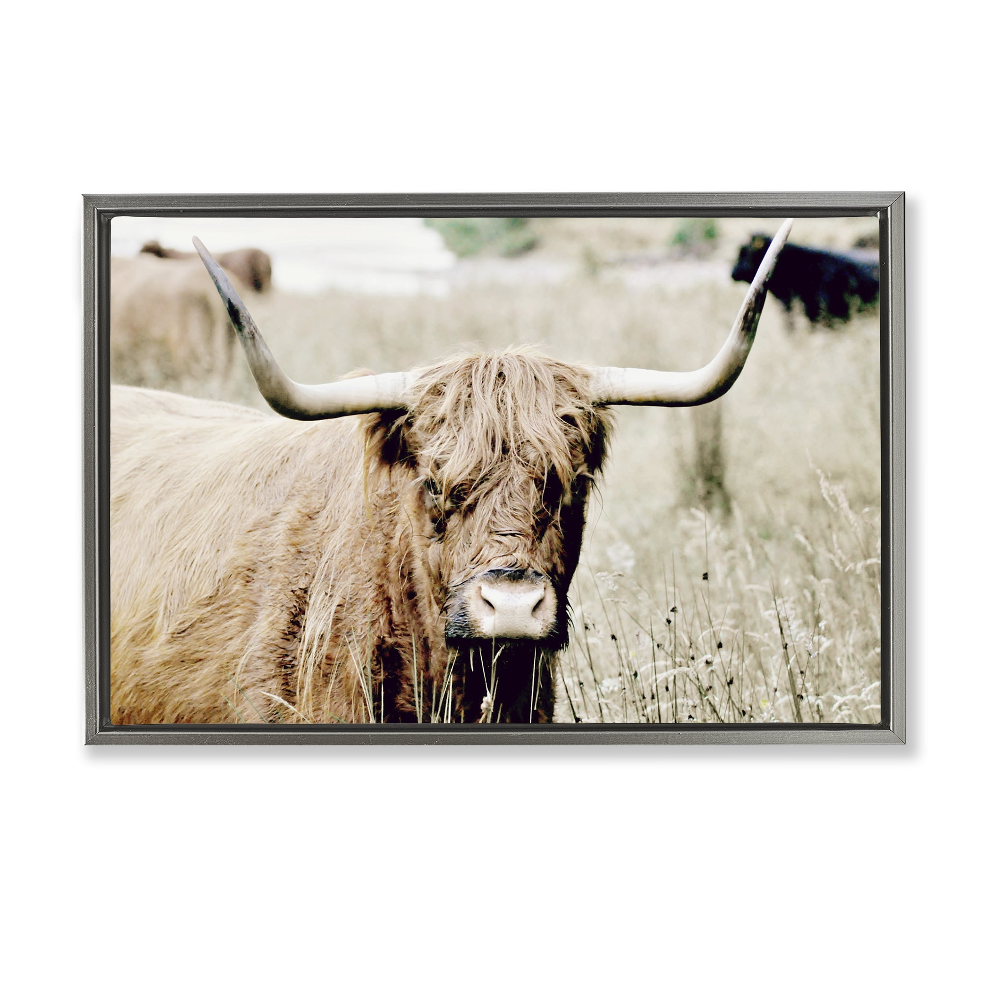 Stupell Industries Highland Cattle in Field Animals & Insects Photography Gray Floater Framed Canvas Art Print Wall Art, 25 x 17