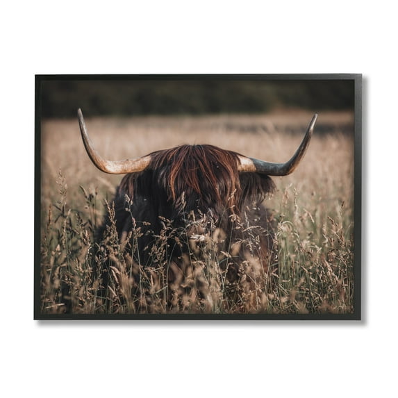 Stupell Industries Highland Cattle in Tall Grass Animals & Insects Photography Black Framed Art Print Wall Art