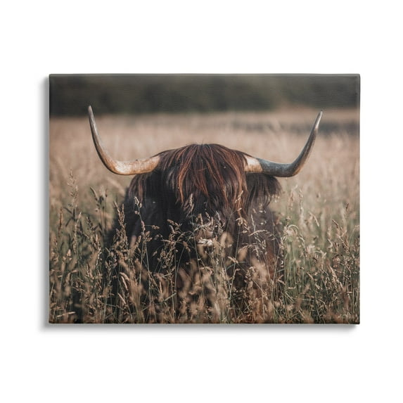 Stupell Industries Highland Cattle in Tall Grass Animals & Insects Photography Gallery Wrapped Canvas Print Wall Art