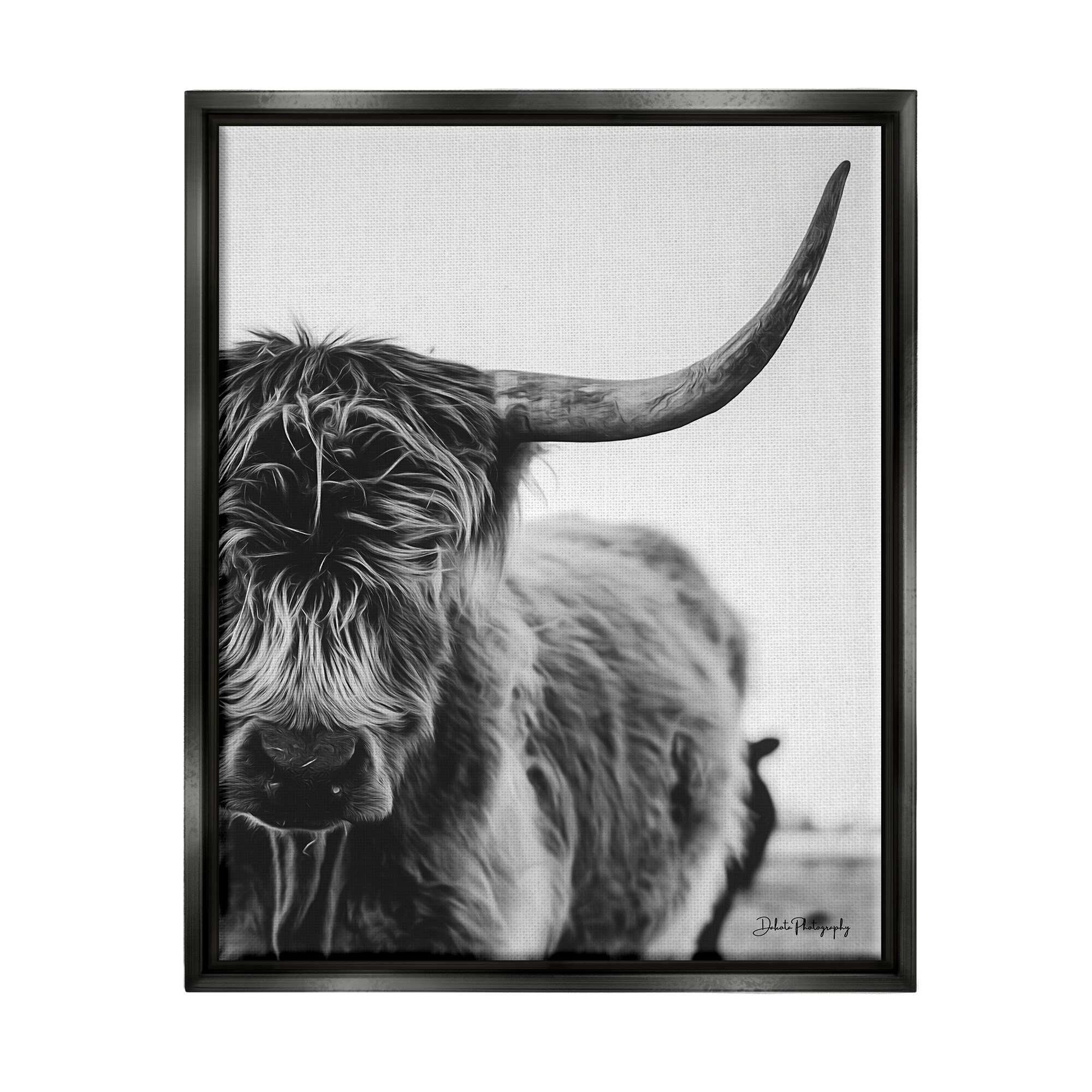 Stupell Industries Highland Cow Cattle Horn Close Up Serene Photography Photograph Jet Black Floating Framed Canvas Print Wall Art, Design by Dakota Diener