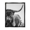 thumbnail image 1 of Stupell Industries Highland Cow Cattle Horn Close Up Serene Photography Photograph Jet Black Floating Framed Canvas Print Wall Art, Design by Dakota Diener, 1 of 5