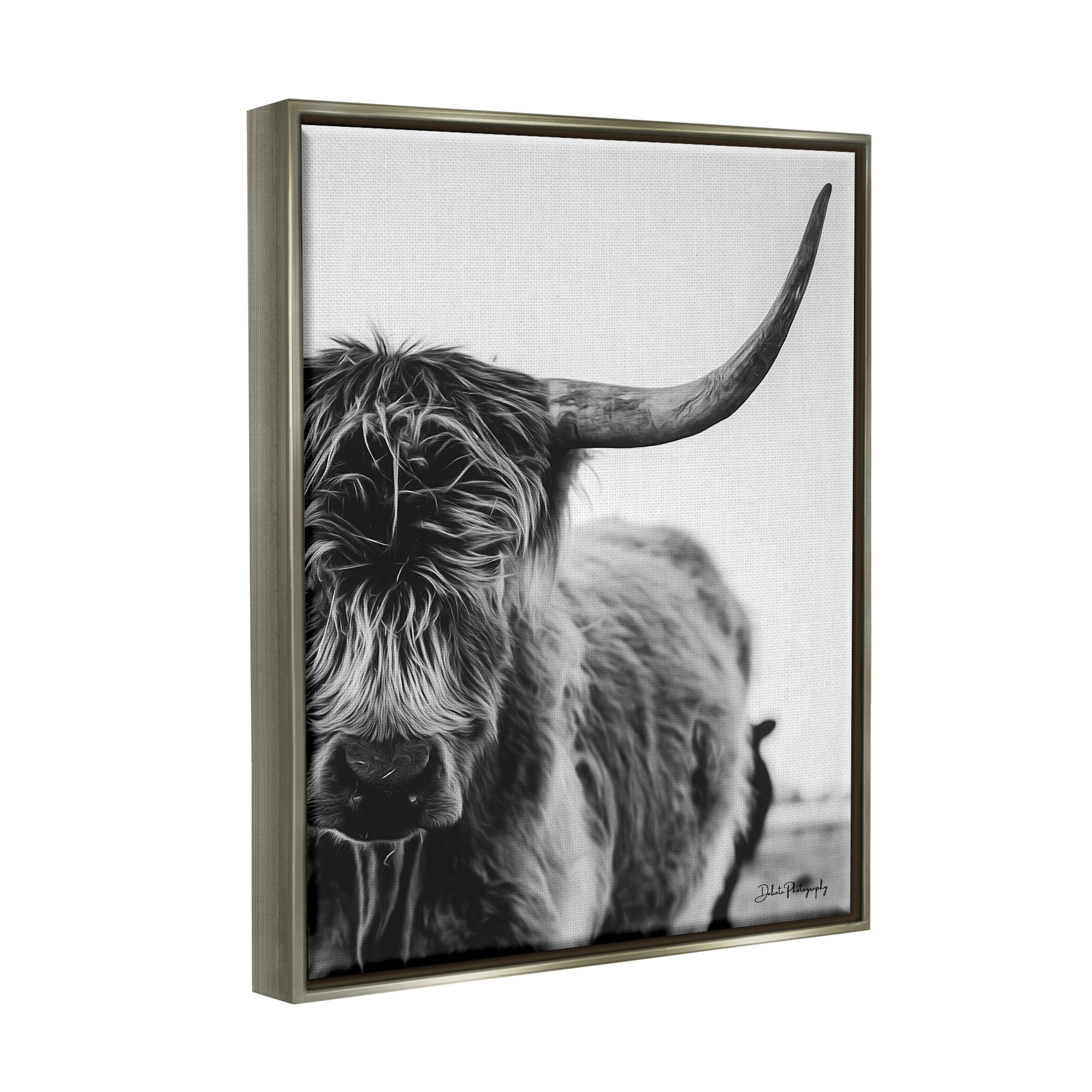Stupell Industries Highland Cow Cattle Horn Close Up Serene Photography Photograph Luster Gray Floating Framed Canvas Print Wall Art, Design by Dakota Diener