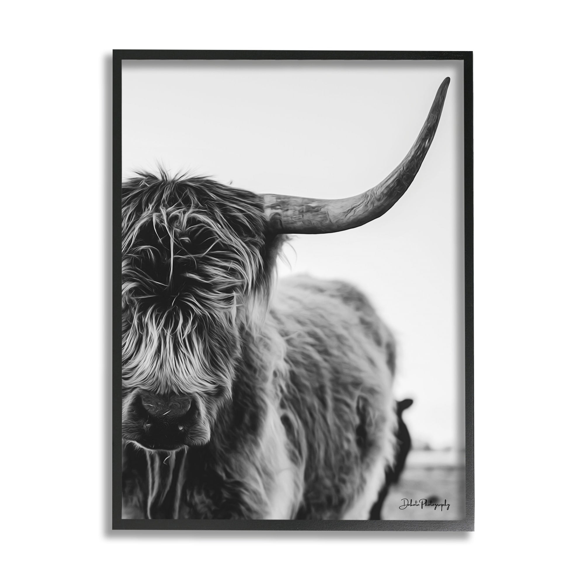 Stupell Industries Highland Cow Cattle Horn Close Up Serene Photography Photograph Black Framed Art Print Wall Art, Design by Dakota Diener