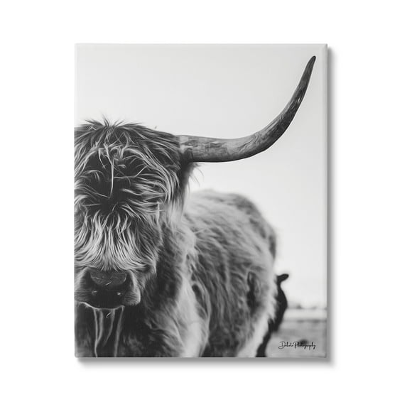 Stupell Industries Highland Cow Cattle Horn Close Up Serene Photography Photograph Gallery Wrapped Canvas Print Wall Art, Design by Dakota Diener
