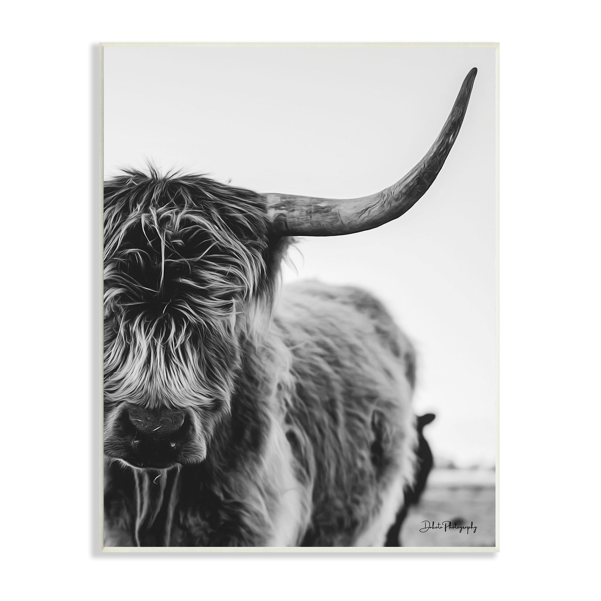 Stupell Industries Highland Cow Cattle Horn Close Up Serene Photography Photograph Unframed Art Print Wall Art, Design by Dakota Diener