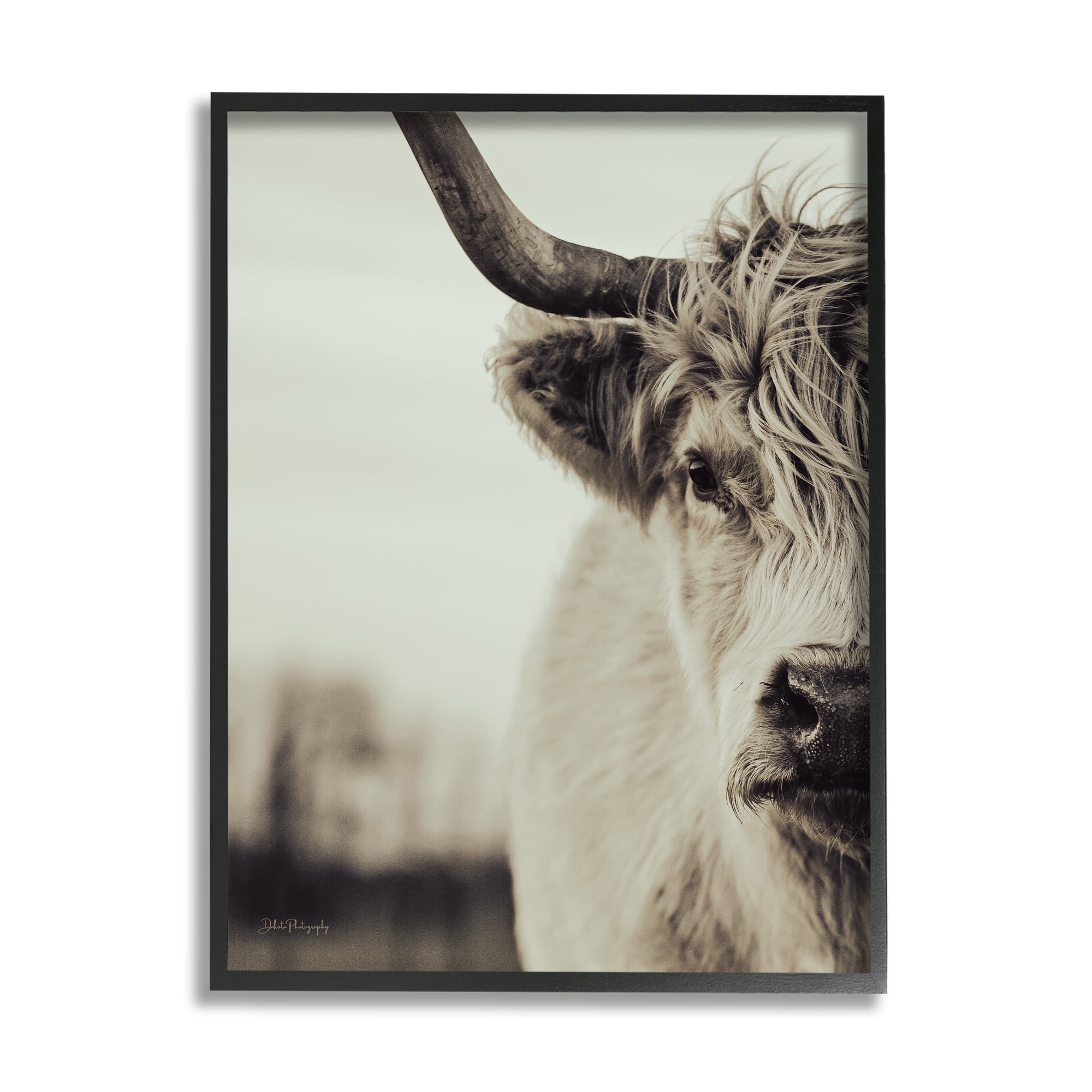 Stupell Industries Highland Cow Face Portrait Animals & Insects Photography Black Framed Art Print Wall Art, 24 x 30