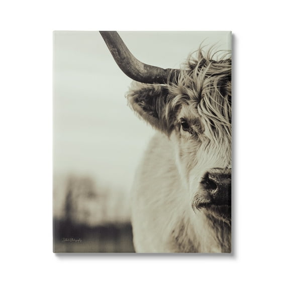 Stupell Industries Highland Cow Face Portrait Animals & Insects Photography Gallery Wrapped Canvas Art Print Wall Art, 16 x 20