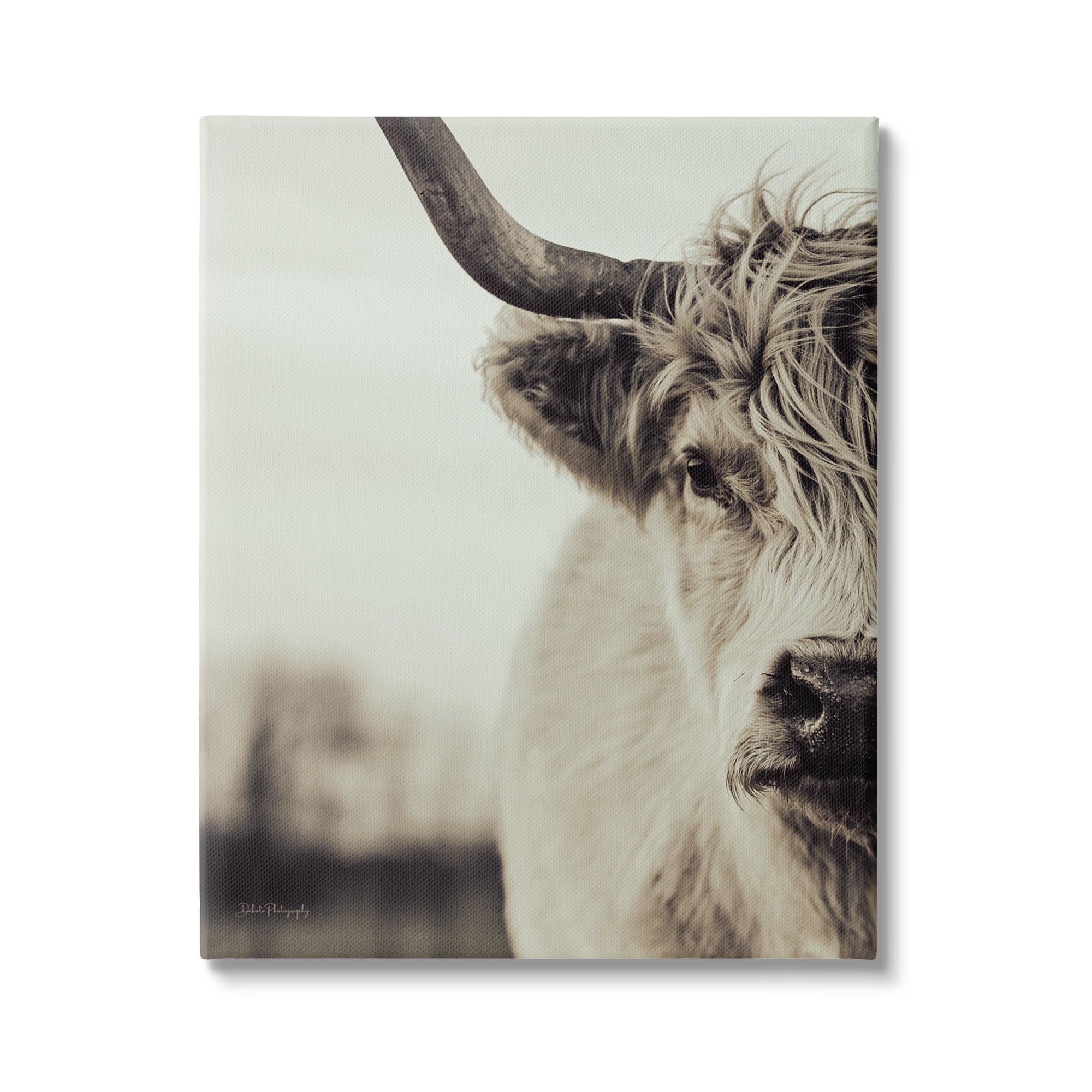 Stupell Industries Highland Cow Face Portrait Animals & Insects Photography Gallery Wrapped Canvas Art Print Wall Art, 24 x 30