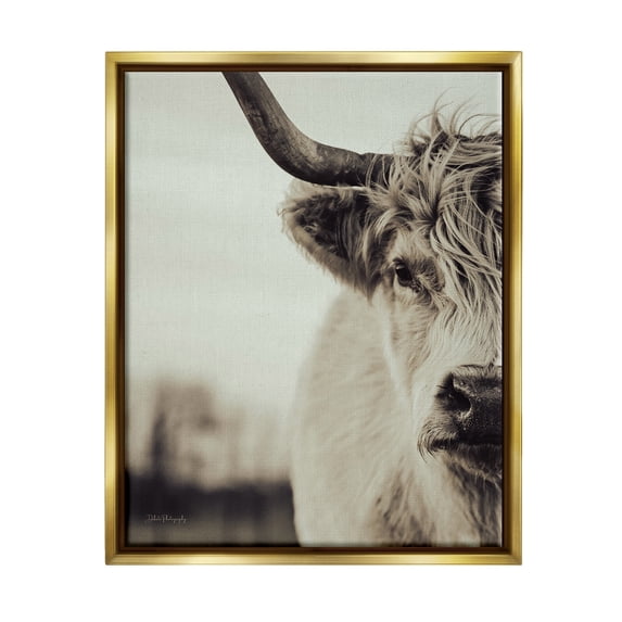 Stupell Industries Highland Cow Face Portrait Animals & Insects Photography Gold Floater Framed Canvas Art Print Wall Art, 25 x 31