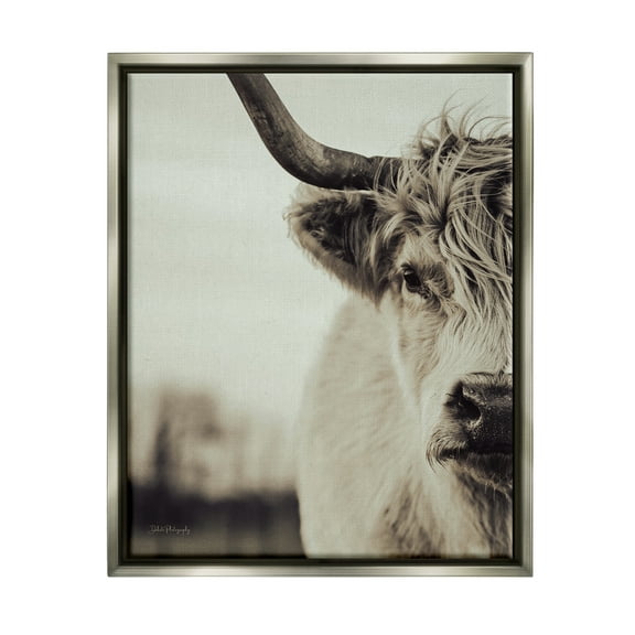 Stupell Industries Highland Cow Face Portrait Animals & Insects Photography Gray Floater Framed Canvas Art Print Wall Art, 17 x 21