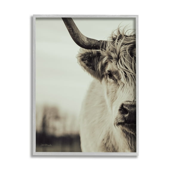 Stupell Industries Highland Cow Face Portrait Animals & Insects Photography Gray Framed Art Print Wall Art, 11 x 14