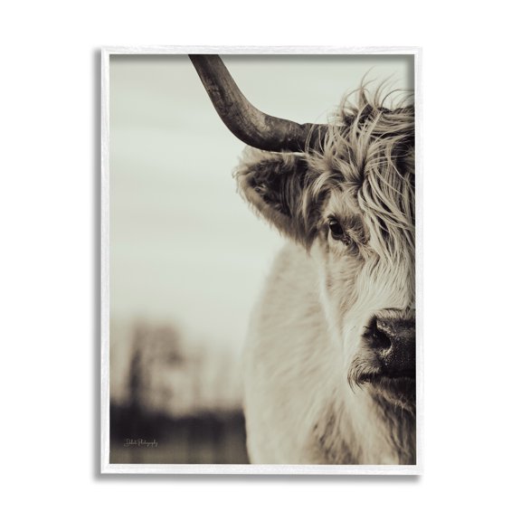 Stupell Industries Highland Cow Face Portrait Animals & Insects Photography White Framed Art Print Wall Art, 11 x 14