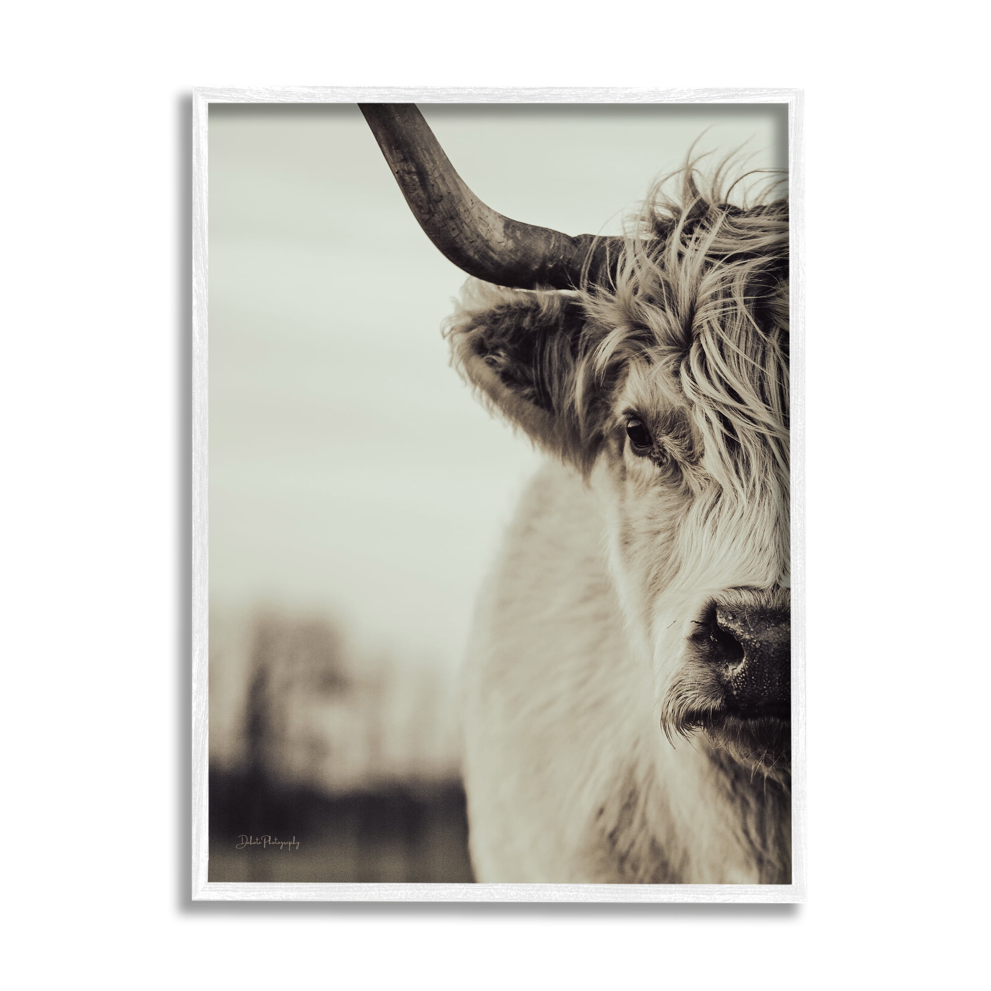 Stupell Industries Highland Cow Face Portrait Animals & Insects Photography White Framed Art Print Wall Art, 16 x 20