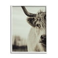 thumbnail image 1 of Stupell Industries Highland Cow Face Portrait Animals & Insects Photography White Framed Art Print Wall Art, 16 x 20, 1 of 9