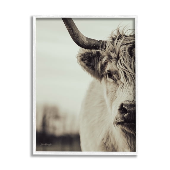 Stupell Industries Highland Cow Face Portrait Animals & Insects Photography White Framed Art Print Wall Art, 16 x 20