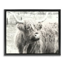 Stupell Industries Highland Cow Gazing Portrait Animals Photography Black Floater Framed Canvas Art Print Wall Art, 21 x 17