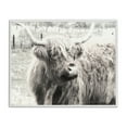 thumbnail image 1 of Stupell Industries Highland Cow Gazing Portrait Animals Photography White Framed Art Print Wall Art, 14 x 11, 1 of 2