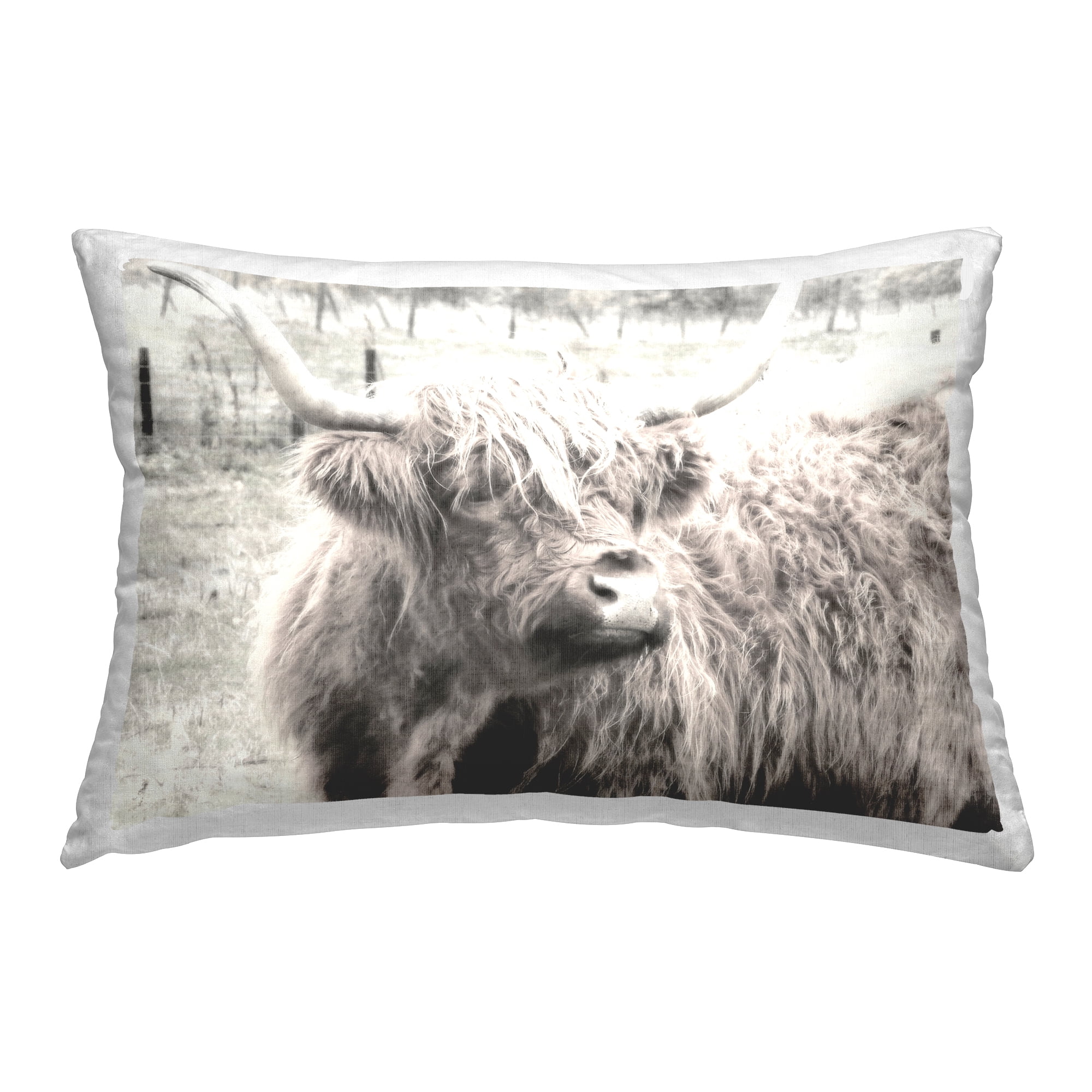 Stupell Industries Highland Cow Gazing Portrait Decorative Printed Throw Pillow Design by Graffi*tee Studios.