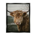 thumbnail image 1 of Stupell Industries Highland Cow Photography Animals & Insects Photography Black Floater Framed Art Print Wall Art, 25 x 31, 1 of 10
