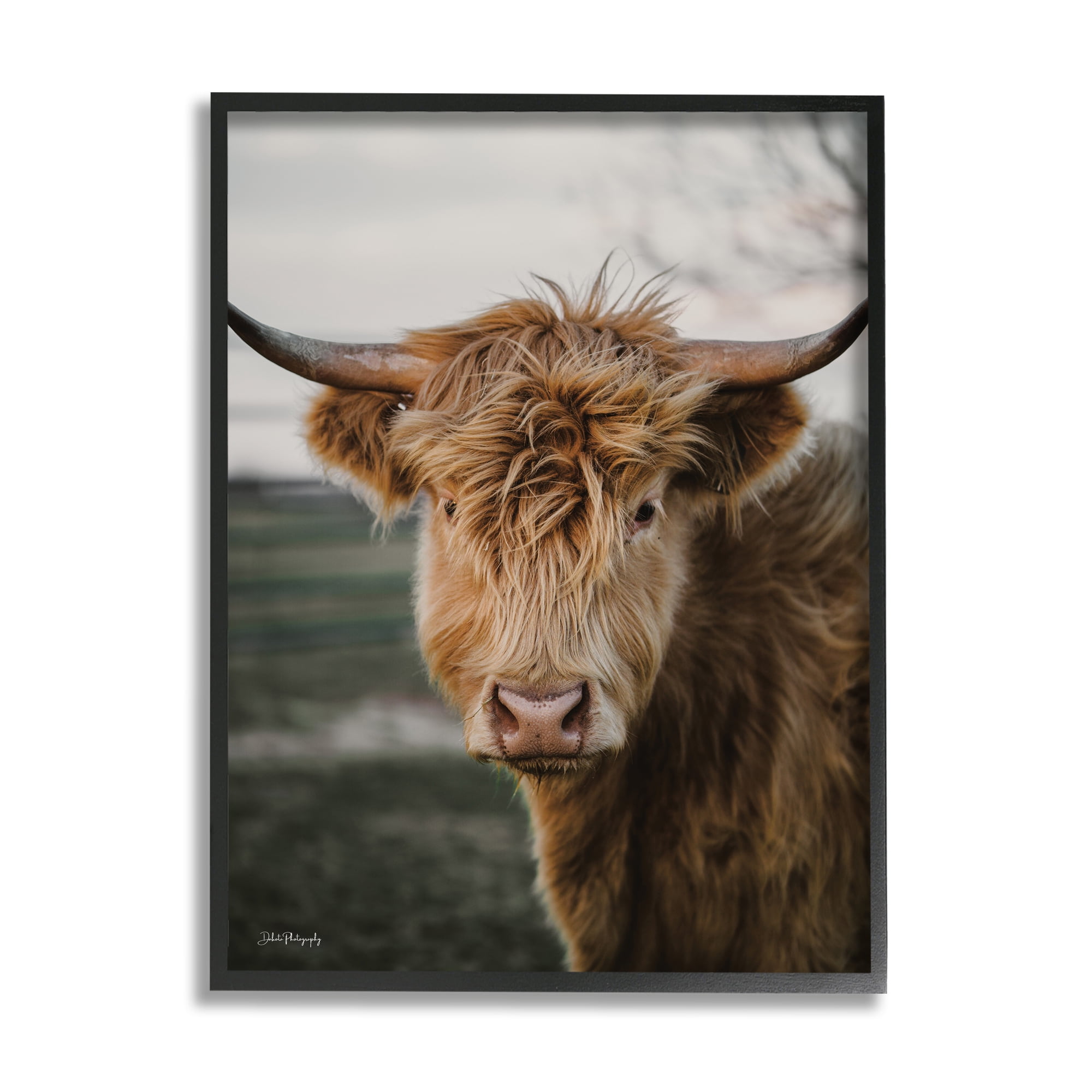 Stupell Industries Highland Cow Photography Animals & Insects Photography Black Framed Art Print Wall Art, 24 x 30
