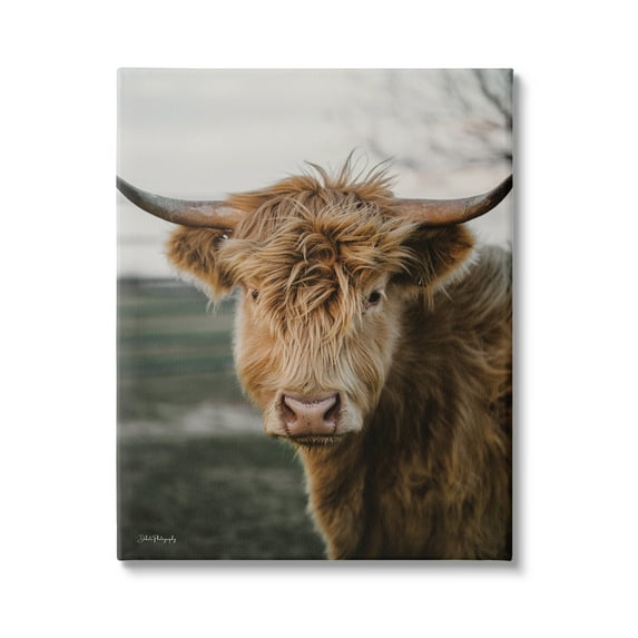 Stupell Industries Highland Cow Photography Animals & Insects Photography Gallery Wrapped Canvas Print Wall Art, 30 x 40