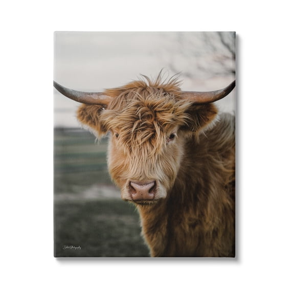 Stupell Industries Highland Cow Photography Animals & Insects Photography Gallery Wrapped Canvas Print Wall Art, 36 x 48