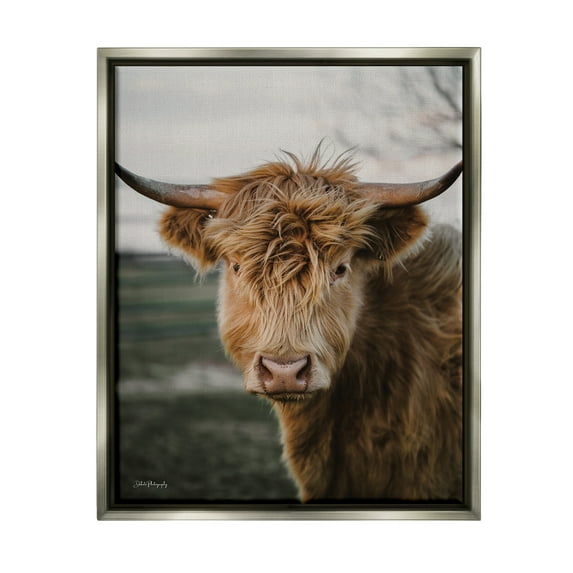 Stupell Industries Highland Cow Photography Animals & Insects Photography Gray Floater Framed Art Print Wall Art, 17 x 21