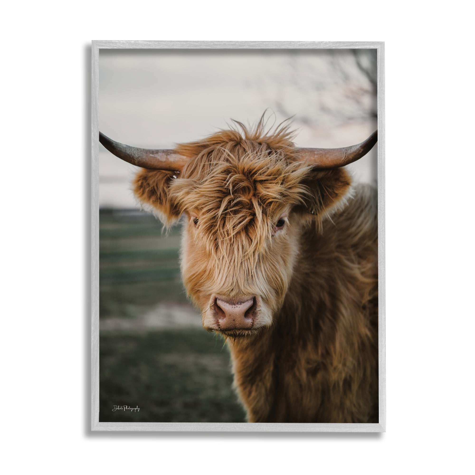 Stupell Industries Highland Cow Photography Animals & Insects Photography Gray Framed Art Print Wall Art, 24 x 30