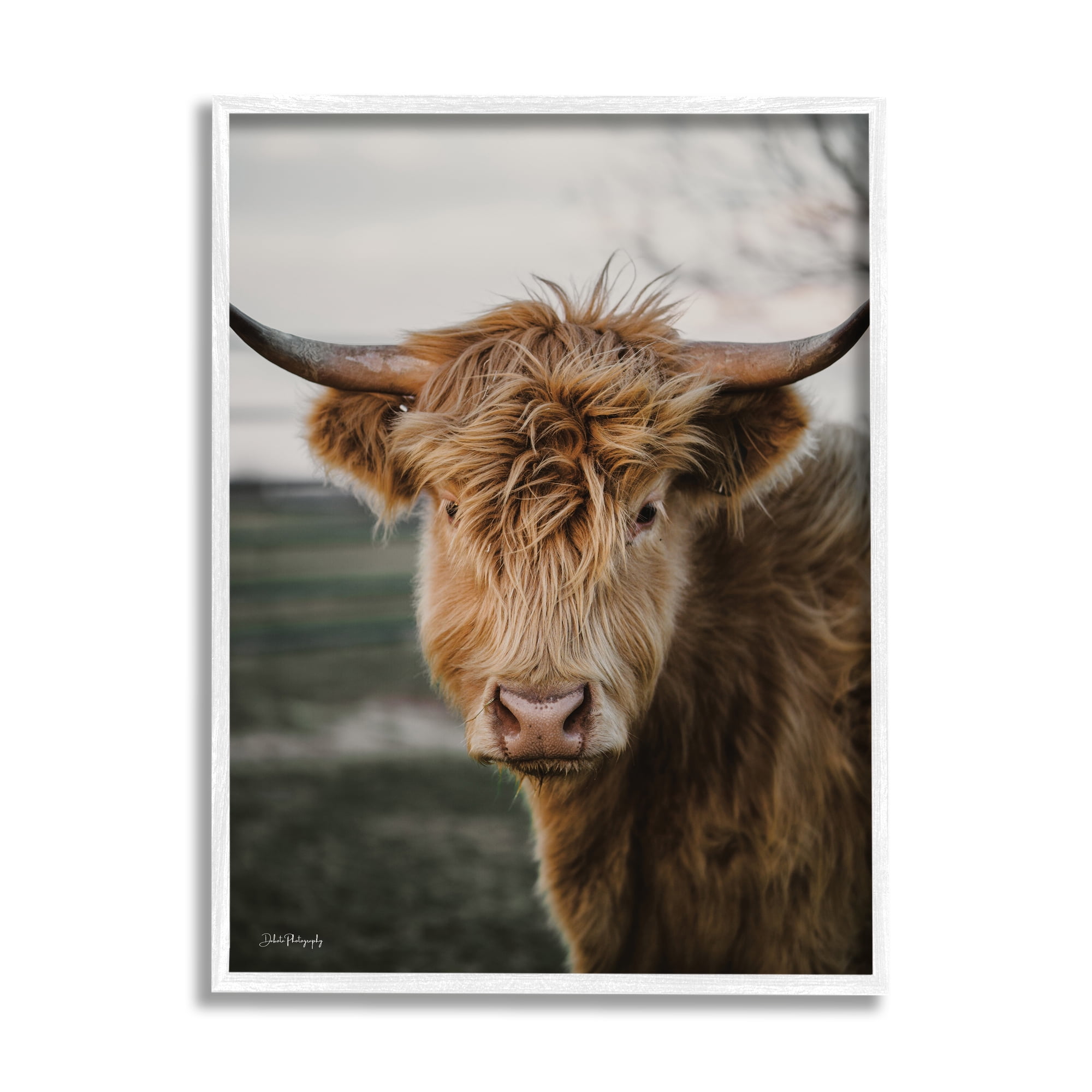 Stupell Industries Highland Cow Photography Animals & Insects Photography White Framed Art Print Wall Art, 16 x 20