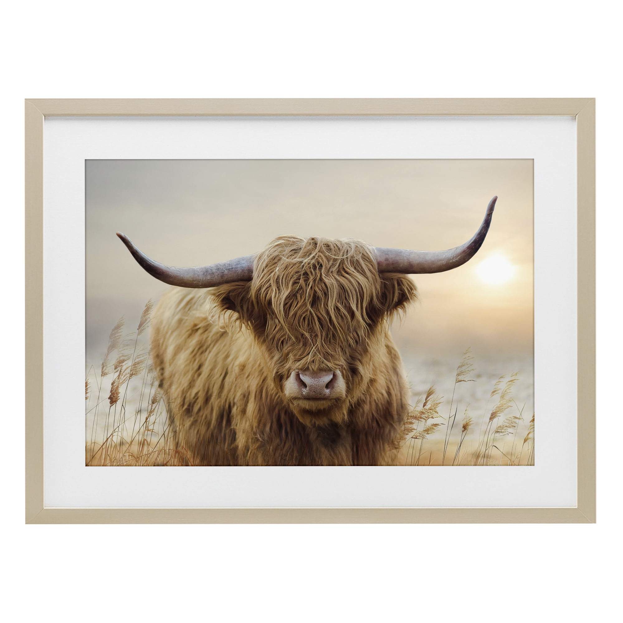 Stupell Industries Highland Cow & Warm Sunset Birch Framed Print Under Glass, design by CAD Designs
