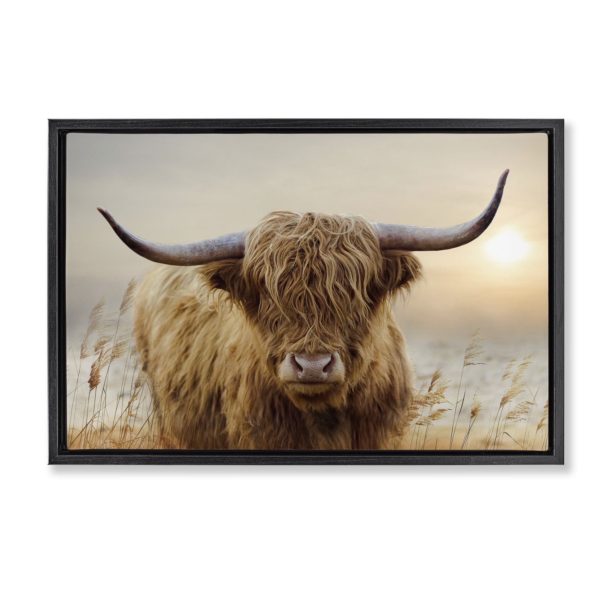Stupell Industries Highland Cow & Warm Sunset Black Framed Floater Canvas Wall Art, design by CAD Designs