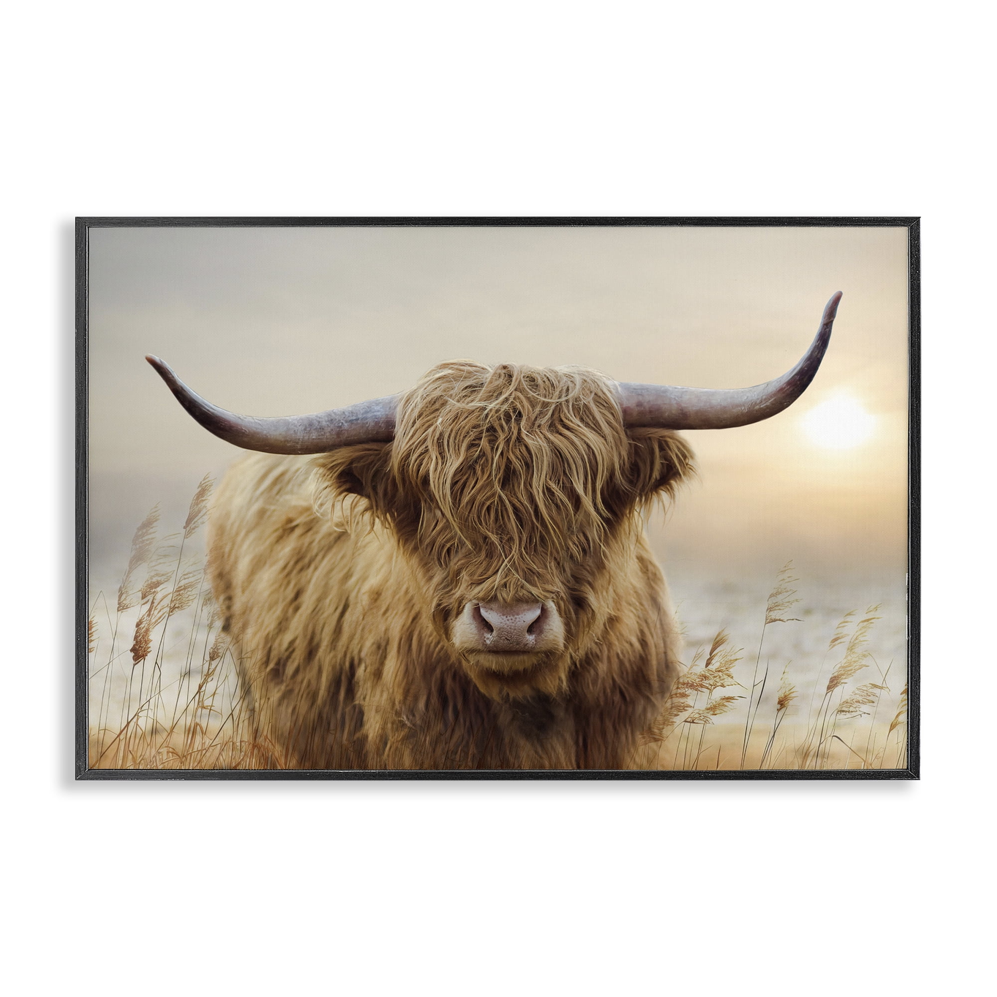 Stupell Industries Highland Cow & Warm Sunset Black Framed Giclee Art, design by CAD Designs