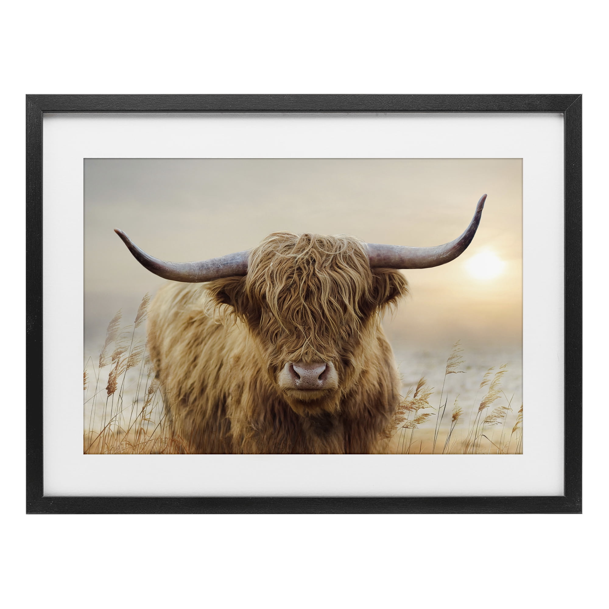 Stupell Industries Highland Cow & Warm Sunset Black Framed Print Under Glass, design by CAD Designs