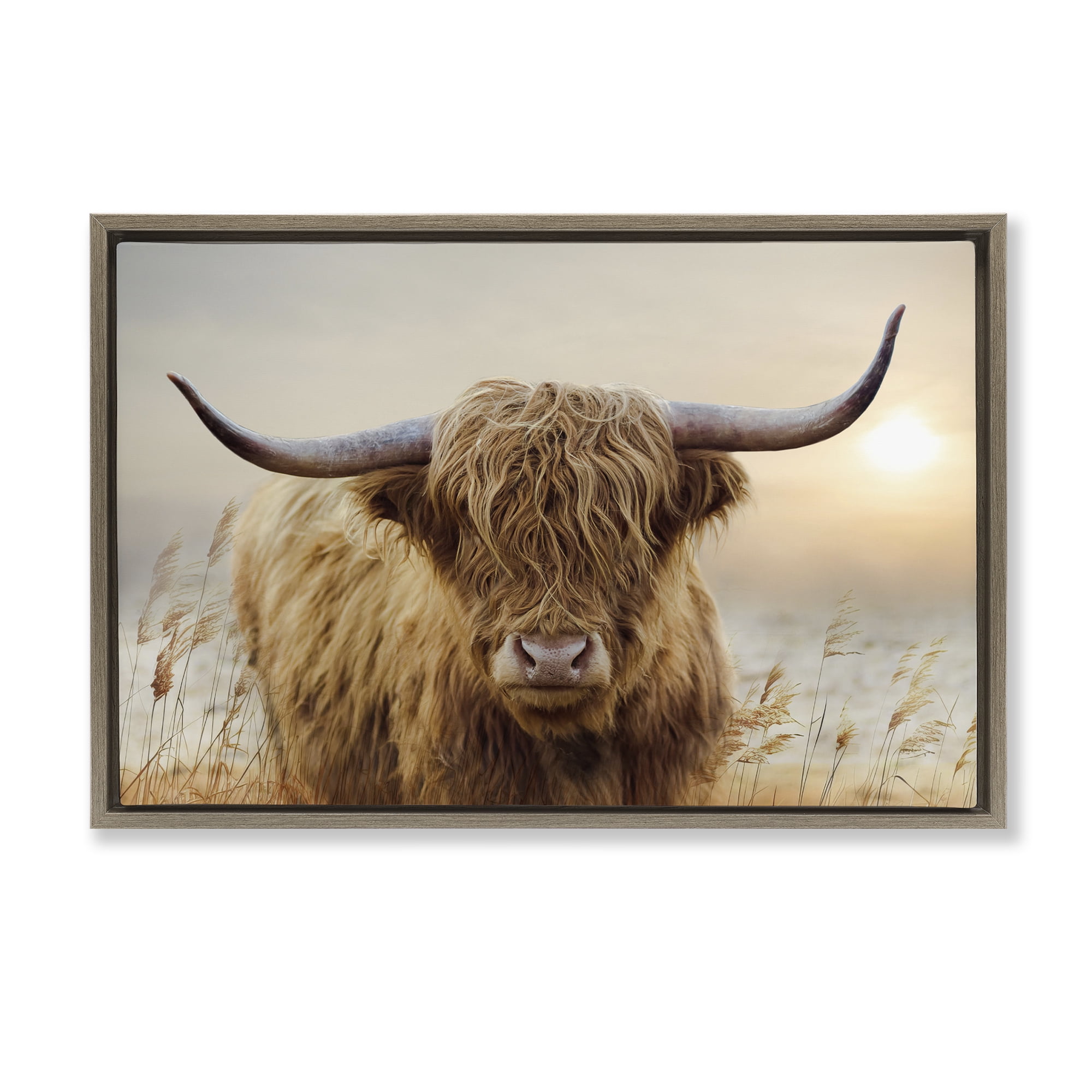Stupell Industries Highland Cow & Warm Sunset Brown Framed Floater Canvas Wall Art, design by CAD Designs
