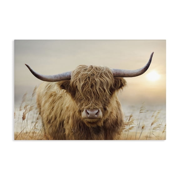 Stupell Industries Highland Cow & Warm Sunset Canvas Wall Art, design by CAD Designs