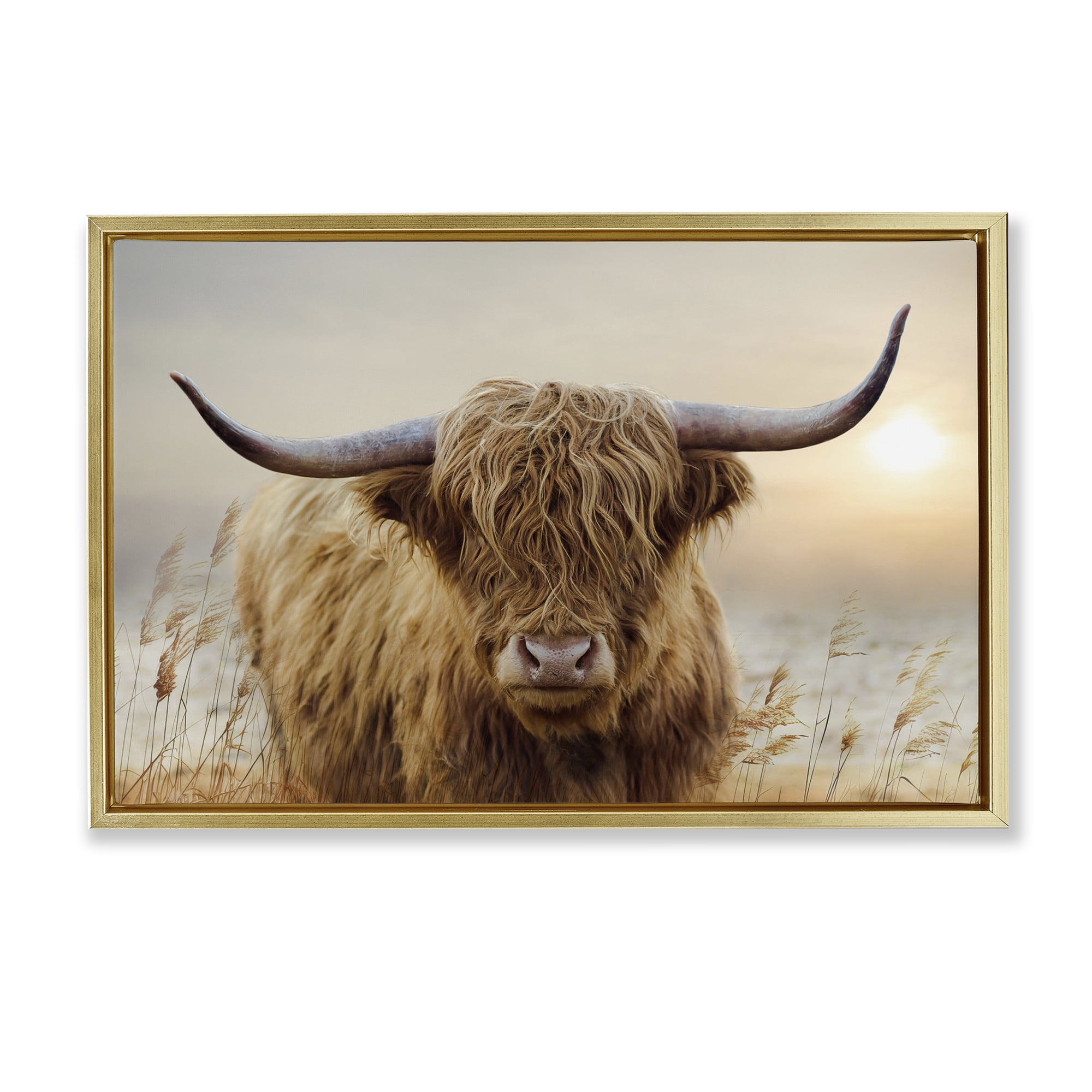 Stupell Industries Highland Cow & Warm Sunset Gold Framed Floater Canvas Wall Art, design by CAD Designs