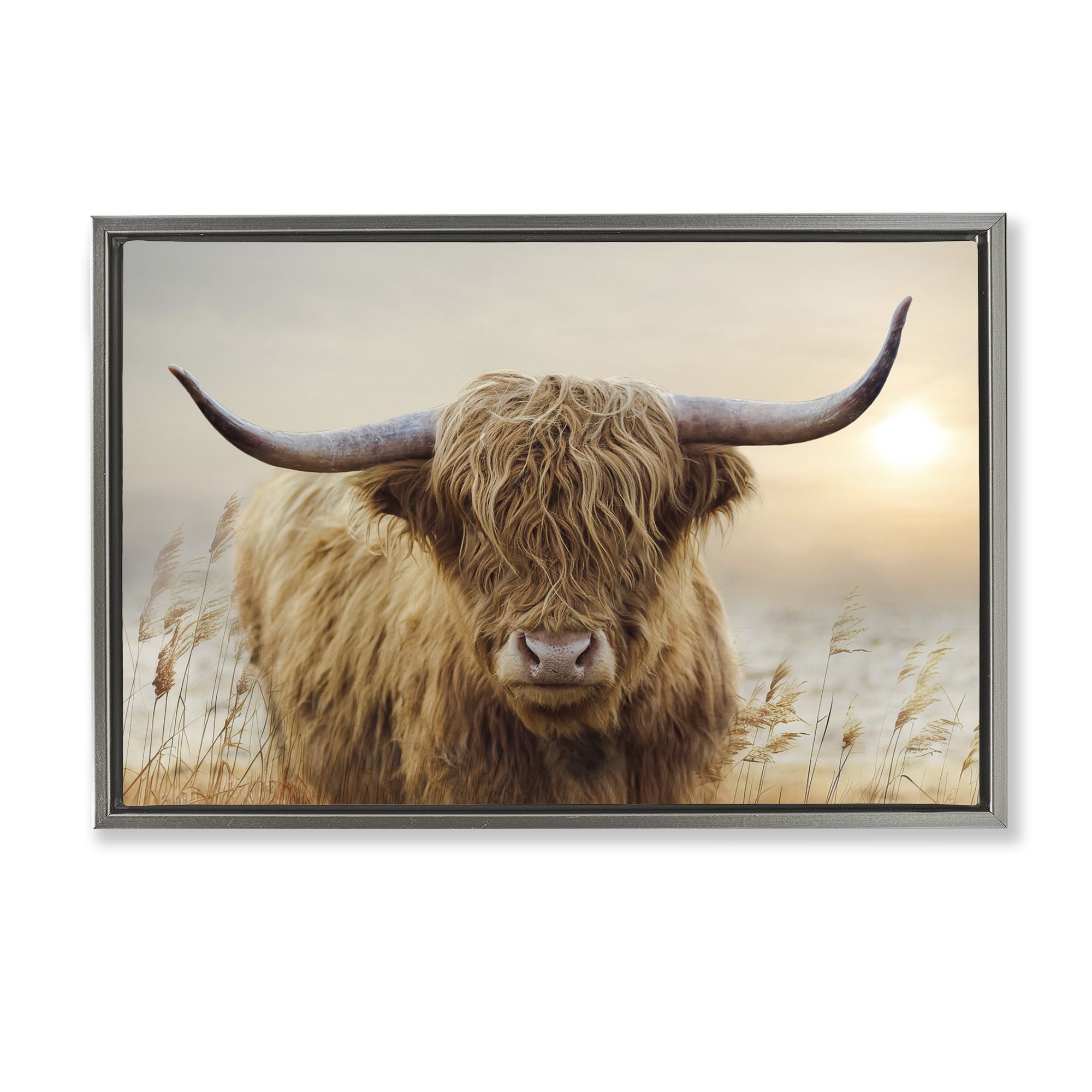 Stupell Industries Highland Cow & Warm Sunset Gray Framed Floater Canvas Wall Art, design by CAD Designs