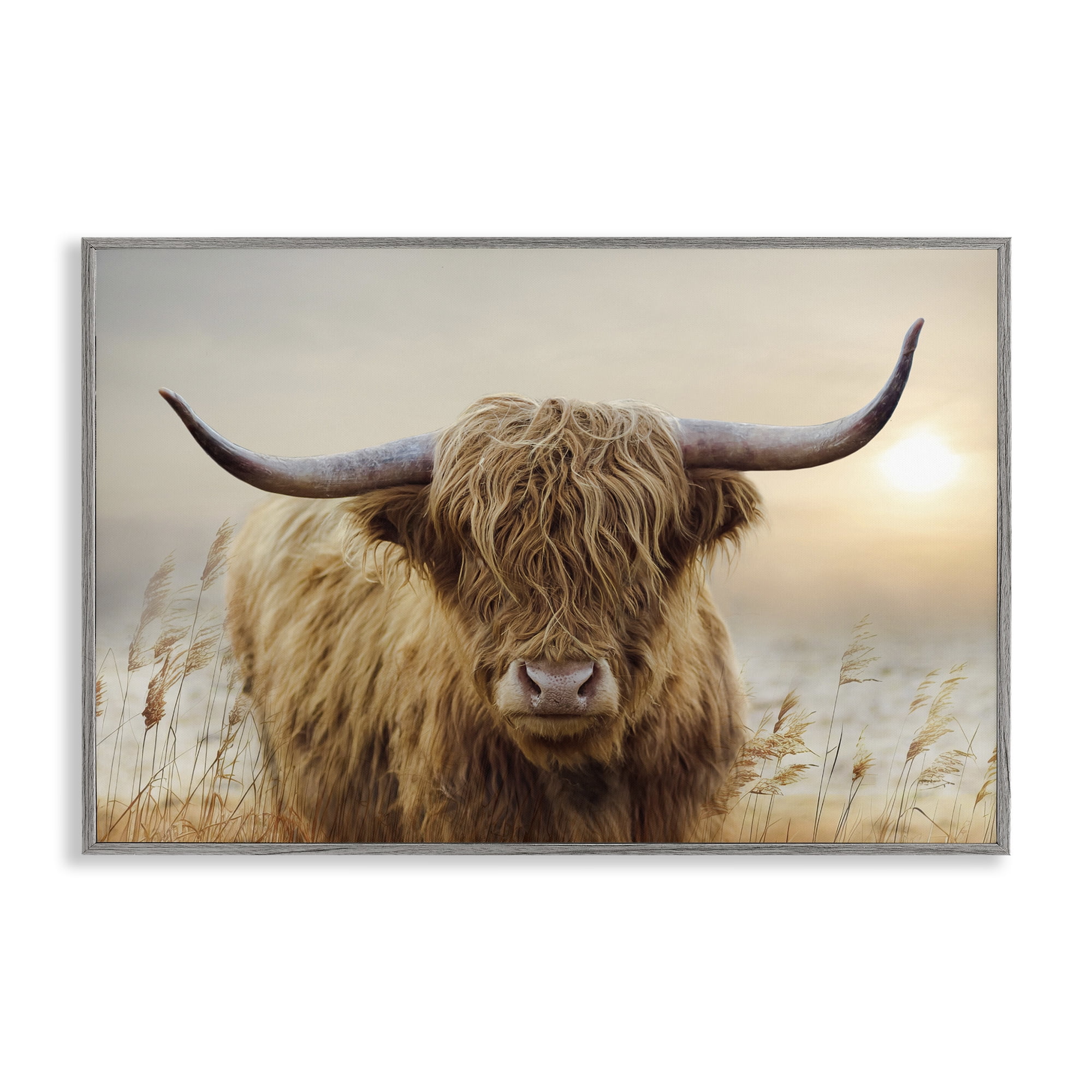 Stupell Industries Highland Cow & Warm Sunset Gray Framed Giclee Art, design by CAD Designs