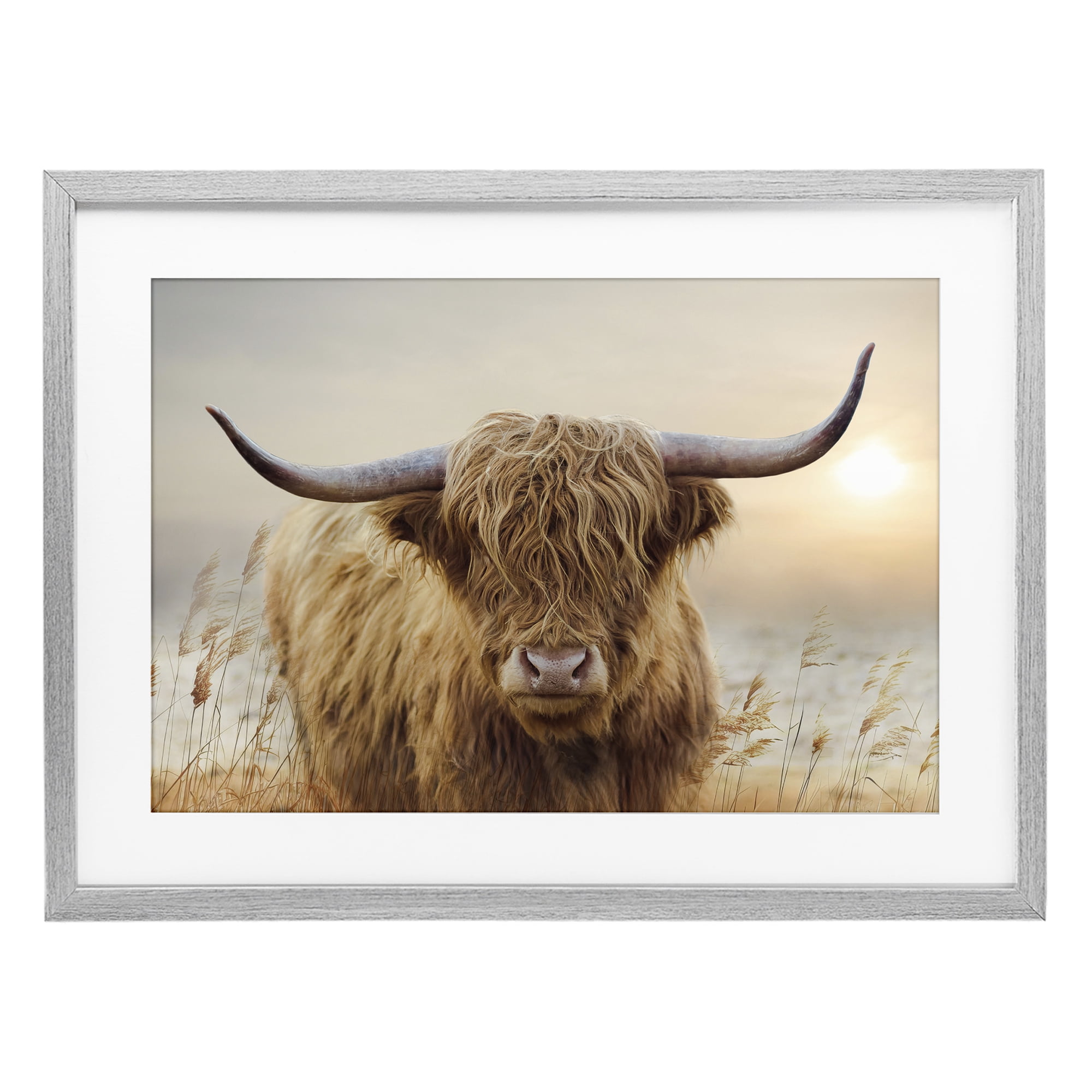 Stupell Industries Highland Cow & Warm Sunset Gray Framed Print Under Glass, design by CAD Designs