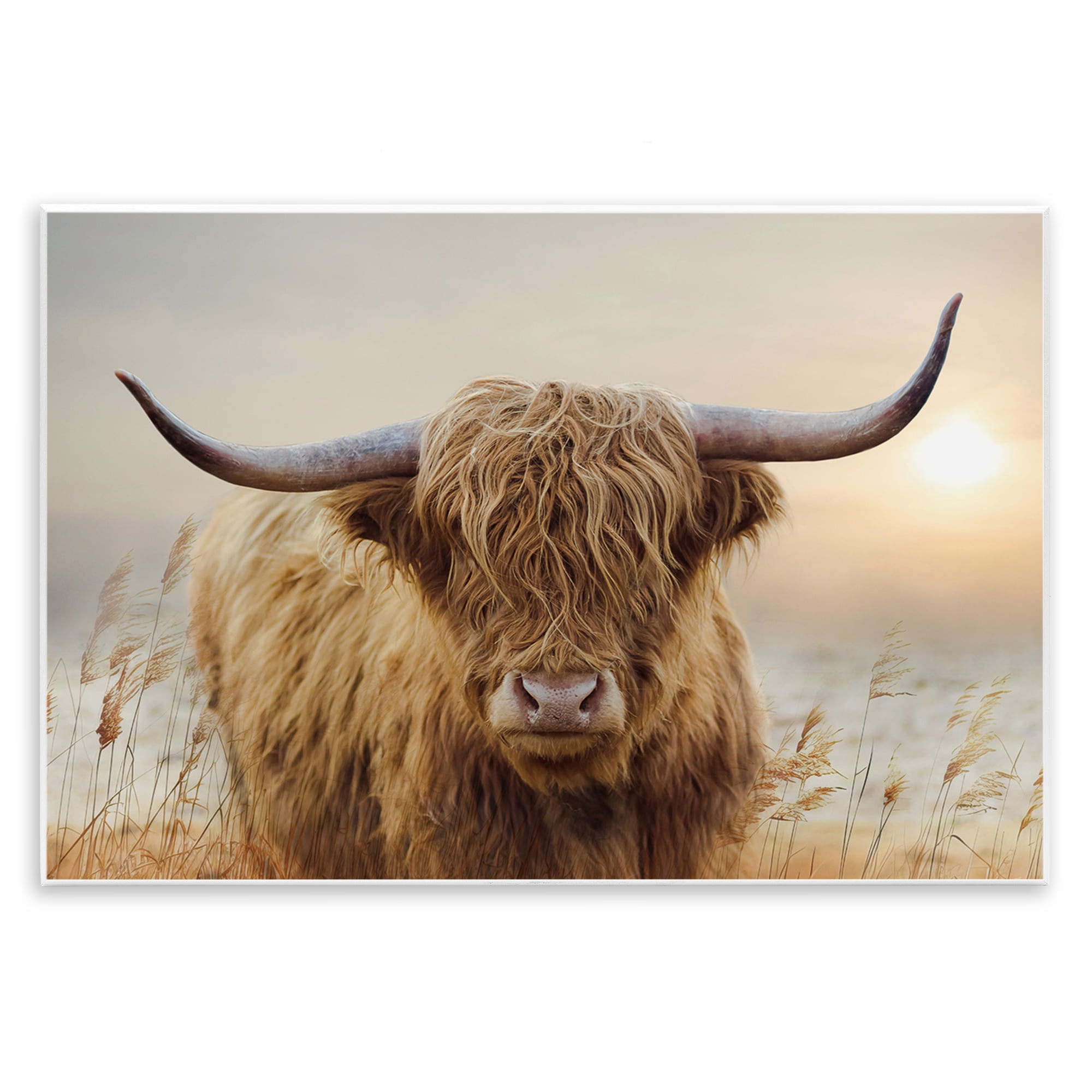 Stupell Industries Highland Cow & Warm Sunset Wall Plaque Art, design by CAD Designs
