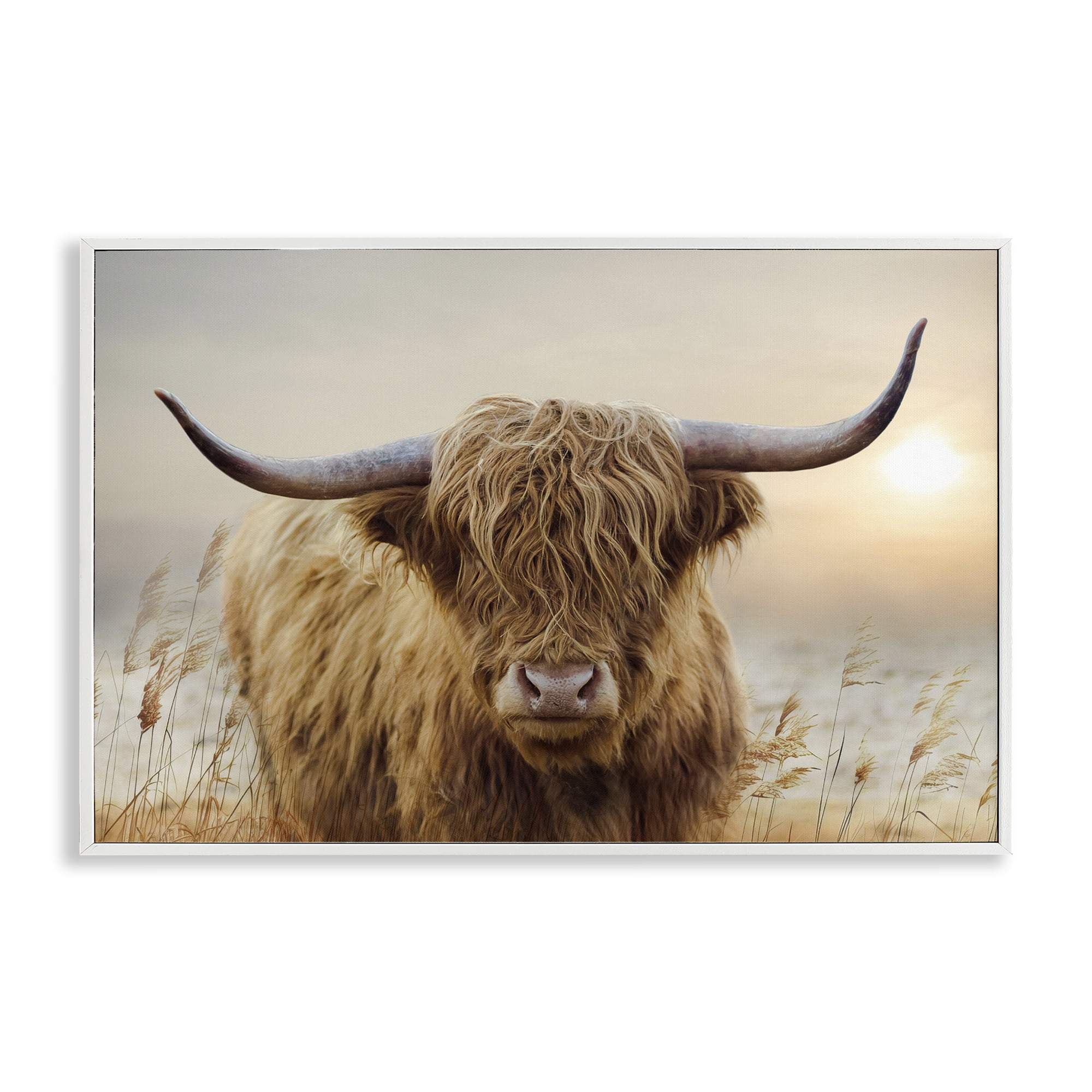 Stupell Industries Highland Cow & Warm Sunset White Framed Giclee Art, design by CAD Designs